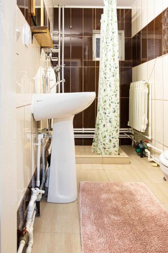 a bathroom with a sink and a christmas tree at Casa De Vacanta Armi in Molidu