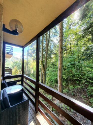 a screened in porch with a view of the woods at Forest Apartments in Sinaia