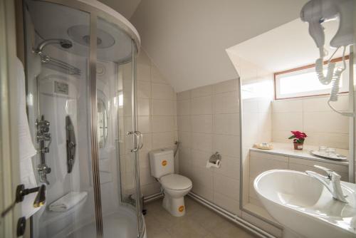 Un baño con ducha, inodoro y lavabo. en Casa Astronomului, en Sibiu