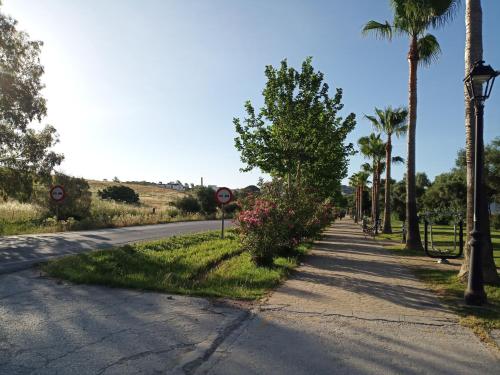 an empty street with palm trees and a street light at Luz y Sol in Jimena de la Frontera