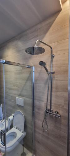 a bathroom with a toilet and a shower stall at Pescoluse Apartments in Marina di Pescoluse