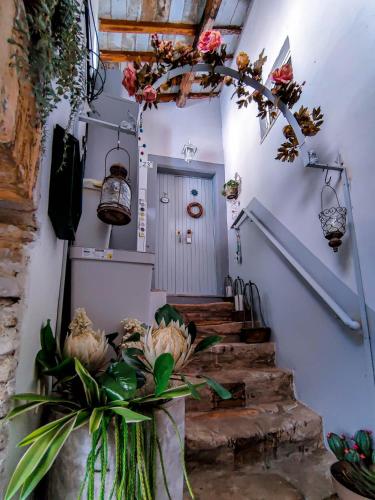 Gambar di galeri bagi Bird House di Torrita Tiberina
