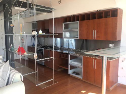 a kitchen with wooden cabinets and stainless steel appliances at Rio Negro Loft in Viedma