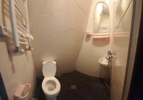 ein kleines Bad mit WC und Waschbecken in der Unterkunft Taj Hostel in Gudauri