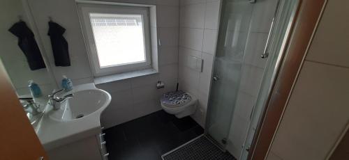 ein Bad mit einem WC, einem Waschbecken und einer Dusche in der Unterkunft Am Habichtsweg 2te. in Lengerich