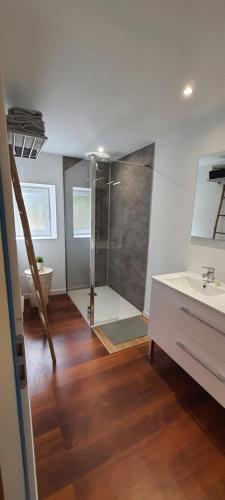 a bathroom with a shower and a sink at Gîte Pinsol 