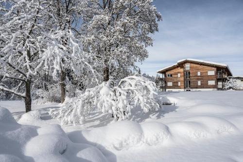 a snow covered tree in front of a log cabin at Bad Ratzes in Siusi