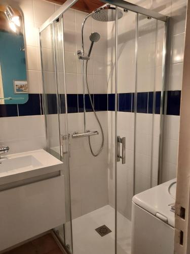 une salle de bain avec douche et lavabo dans l'établissement Pavillon des Loritz, à Grand-Village-Plage
