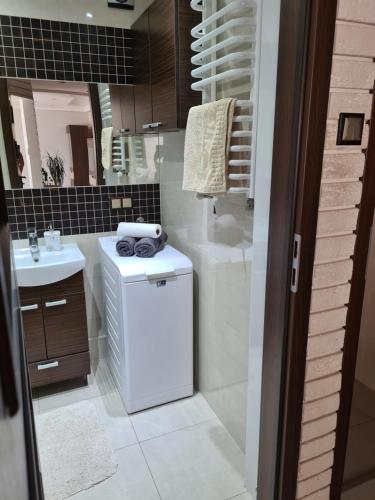 a bathroom with a sink and a washer and dryer at Apartament u Maryśki in Karpacz