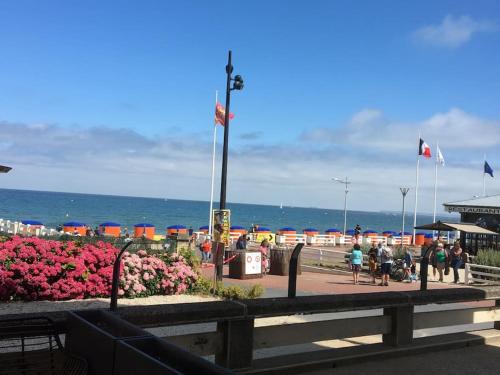 Appartement FACE MER accès direct plage