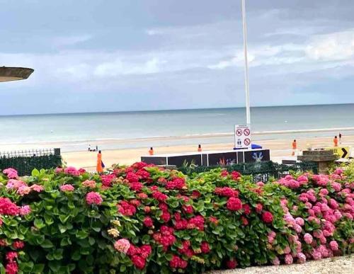 Paysage naturel près de l'appartement