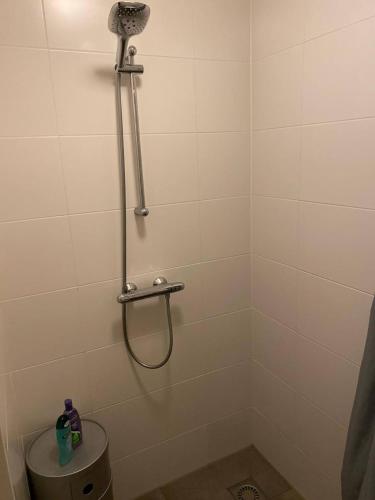 a bathroom with a shower with a toilet in it at B&B by the C in Vlissingen