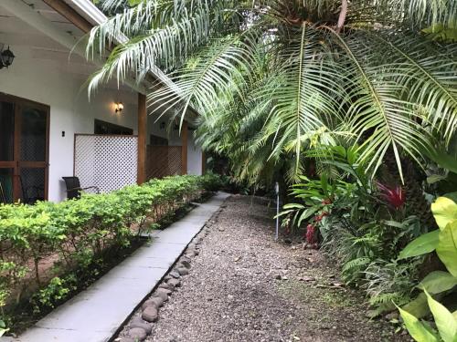 a garden path leading to a house with palm trees at Hotel Indalo adults only in Puerto Viejo