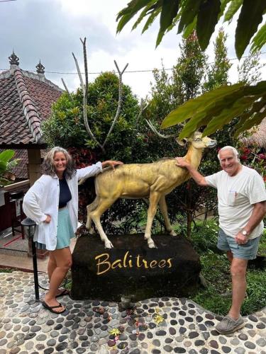 Balitrees Retreats – Photos 3