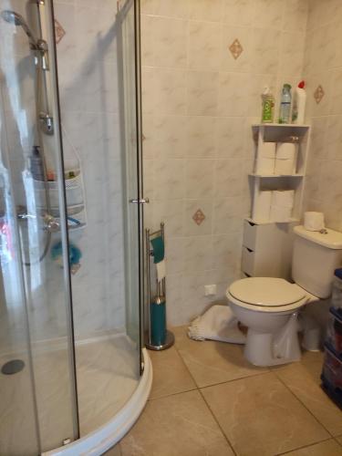 a bathroom with a toilet and a glass shower at Gîte de la Forêt in Saint-Jeanvrin