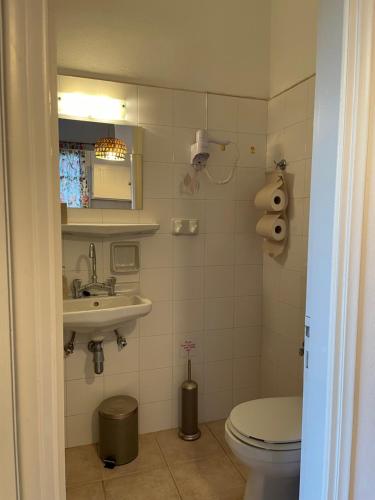 a bathroom with a toilet and a sink at Villa Gelly's Studios in Aliki