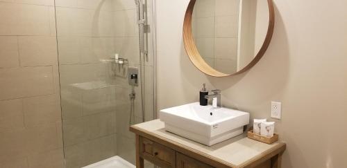 uma casa de banho com um lavatório e um chuveiro com um espelho. em Hotel "Le Suisse" em Saint-Donat-de-Montcalm