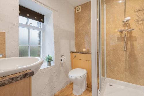 a bathroom with a toilet and a sink and a shower at Cottage 3 Old Farmhouse Mews in Keswick