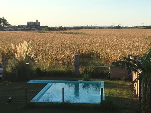 una pequeña piscina frente a un campo en Loft arroyo seco en Arroyo Seco