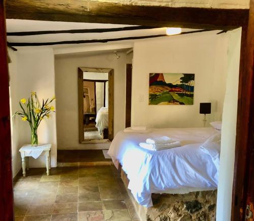 a bedroom with a bed and a mirror at Mill Lane Farmhouse in Hartbeespoort