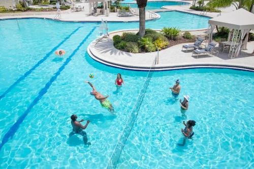 Bazén v ubytování Saddlebrook Resort nebo v jeho okolí