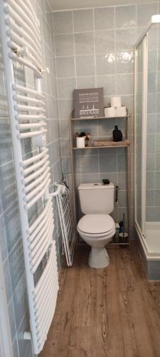La salle de bains est pourvue de toilettes et d'une étagère avec des serviettes. dans l'établissement BERCK Maison de vacances avec terrasse et jardin,, à Berck-sur-Mer
