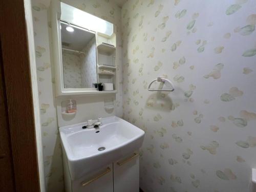 a bathroom with a sink and a mirror at South Sea Ishigaki in Ishigaki Island