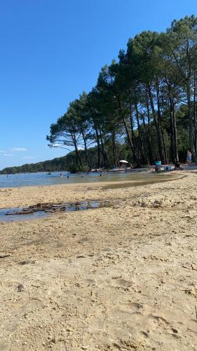 une plage de sable avec des arbres en arrière-plan dans l'établissement Appartement 3p, 72m2, centre ville, parking privé tout confort, à Biscarrosse