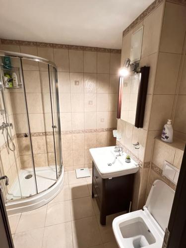 uma casa de banho com um chuveiro, um lavatório e um WC. em 2 rooms apartment Airy & Bright Palas Center em Iaşi