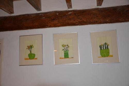 three framed pictures of flowers on a wall at B&B Kelpiebrink in Baarle-Nassau