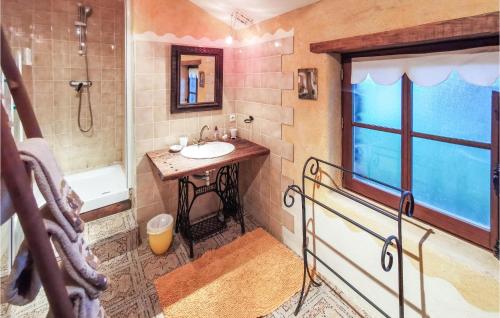 a bathroom with a sink and a shower and a window at Pet Friendly Home In Marsac Sur Don in Marsac-sur-Don