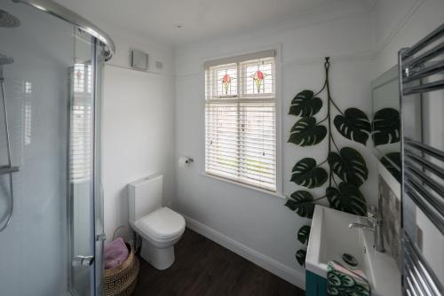 a bathroom with a toilet and a window at Treblenick House in Thirsk