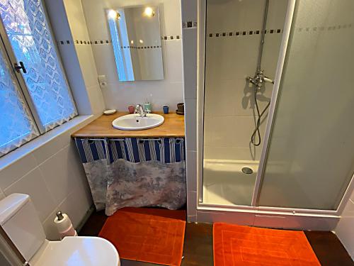 a bathroom with a shower and a sink at Domaine Les Bertrands in Couches