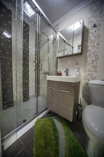 a bathroom with a shower and a sink and a toilet at Vilitsa Holiday House in Pyrgi