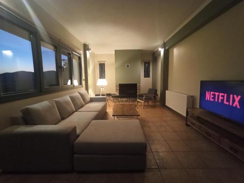 a living room with a couch and a tv at Elatos Boutique MountainHouse in Karpenisi