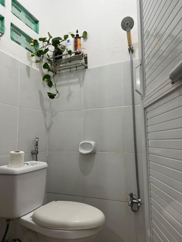 a bathroom with a toilet and a plant on a shelf at Loft Baler with Kitchen & Ideal for Work from Home Setup in Baler