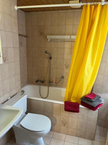 a bathroom with a shower with a toilet and a sink at Au village d'Evolène, très joli studio calme et ensoleillé in Evolène
