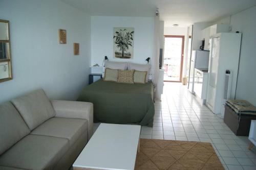 ein Wohnzimmer mit einem Sofa und einem Bett in der Unterkunft Superbe studio Dolce Vita vue mer plage piscine in Marigot
