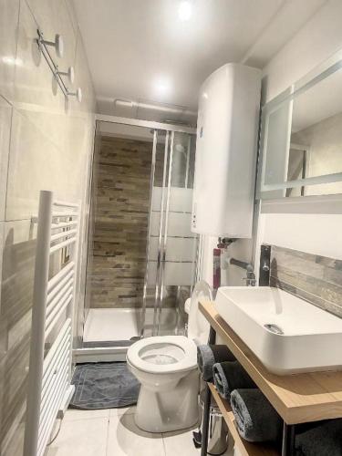 une salle de bain avec une douche, des toilettes et un lavabo dans l'établissement STUDIO COSY GARE AMIENS TOUT ÉQUIPÉ WIFI NETFLIX 2PERS, à Amiens