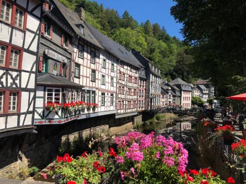 a group of buildings with flowers in front of a river at An der Rur - 4 Apartments mitten in Monschau in Monschau