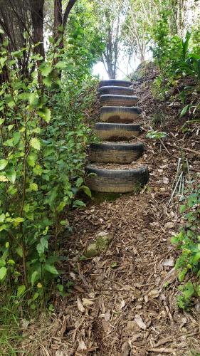 a set of stone steps on a trail at Tui site in Waihi