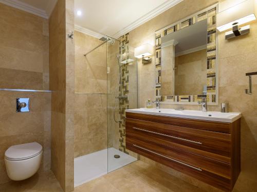 a bathroom with a sink and a toilet and a shower at La Maisonnette du Clos in La Roquette-sur-Siagne
