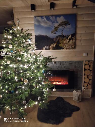 a christmas tree in a living room with a fireplace at Domek Sielski Zakątek Pieniny in Szczawnica