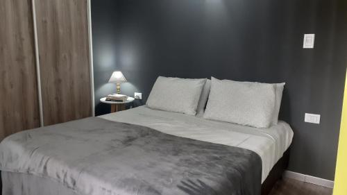 a bedroom with a large bed with two pillows at DFC Salta Estudio 2p in Salta