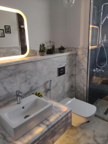 a bathroom with a sink and a toilet and a mirror at Luxury Stay in Sheikh Zayed