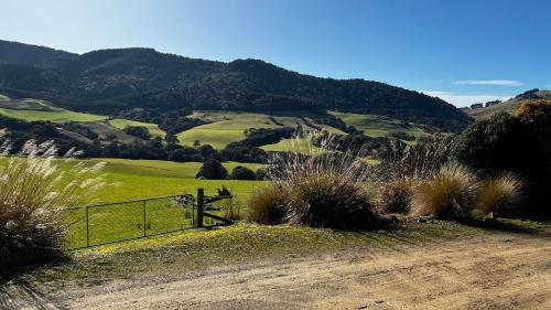 a fence on a dirt road with mountains in the background at Mohua Park - Catlins Eco Accommodation in Owaka