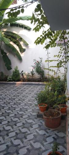 Κήπος έξω από το Peaceful Home Stay