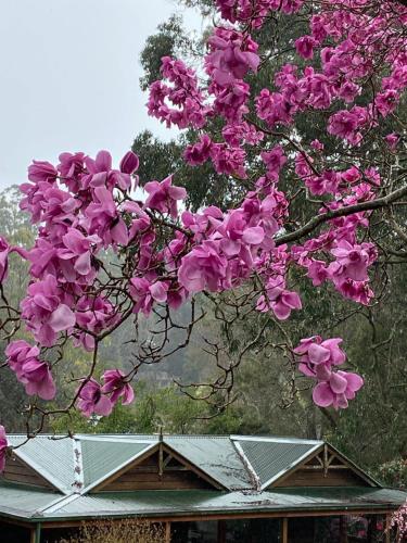 Botanica Retreat