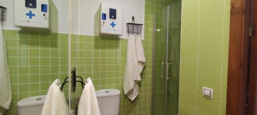 a green tiled bathroom with a toilet and towels at PiedraNegra, apartamento completo con patio, terraza y BBQ in Rodalquilar