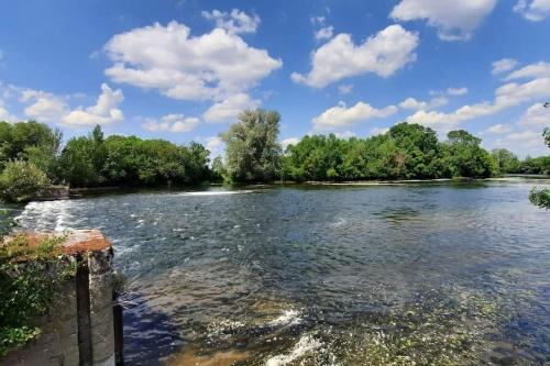 a river with trees and clouds in the sky at Gite de la Salamandre aan de rivier de Cher vlakbij Zoo de Beauval in Thésée